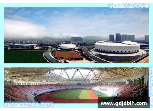全球体育明星资料全景解读：球场与赛道上的传奇人物大汇总