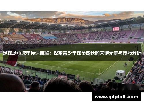足球场小球星标识图解：探索青少年球员成长的关键元素与技巧分析