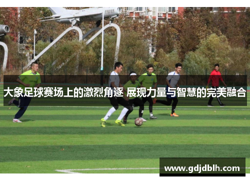 大象足球赛场上的激烈角逐 展现力量与智慧的完美融合